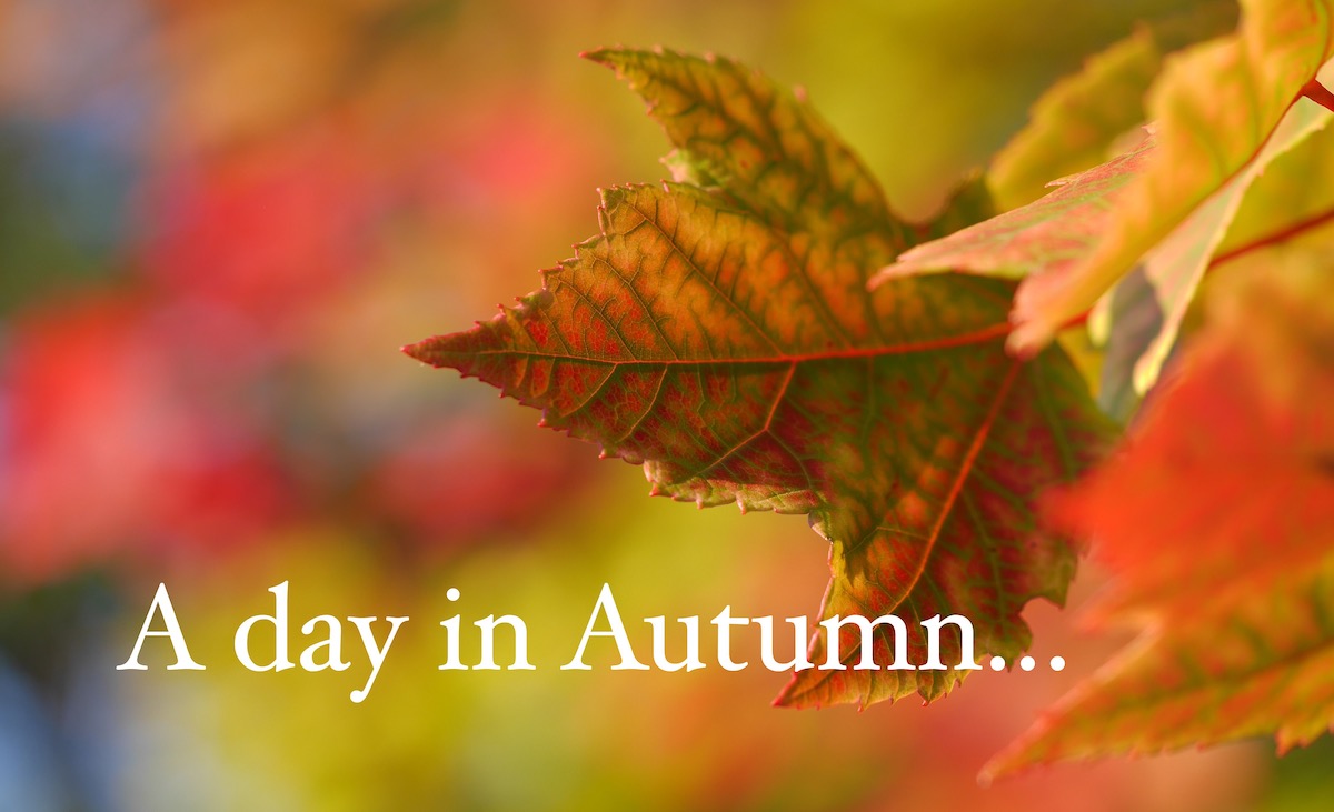 , A day in Autumn, Full Body Massage Service