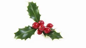 reduction / special offer / Yoni / Ladies / Gentlemen's / December / sensual / VIP gallery / appointments 3rd Wednesday / price, Sue’s special offer, Full Body Massage Service