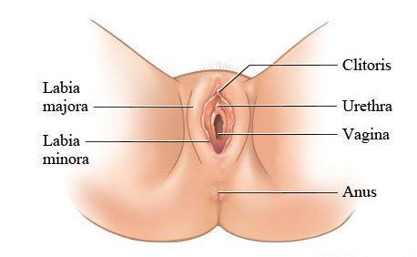 Women&rsquo;s orgasms, Women’s Orgasms, Full Body Massage Service