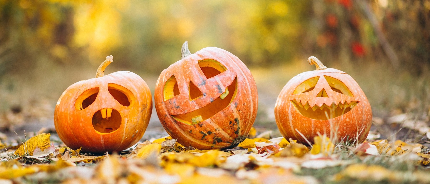 Last few days of October, Last week of October, Full Body Massage Service
