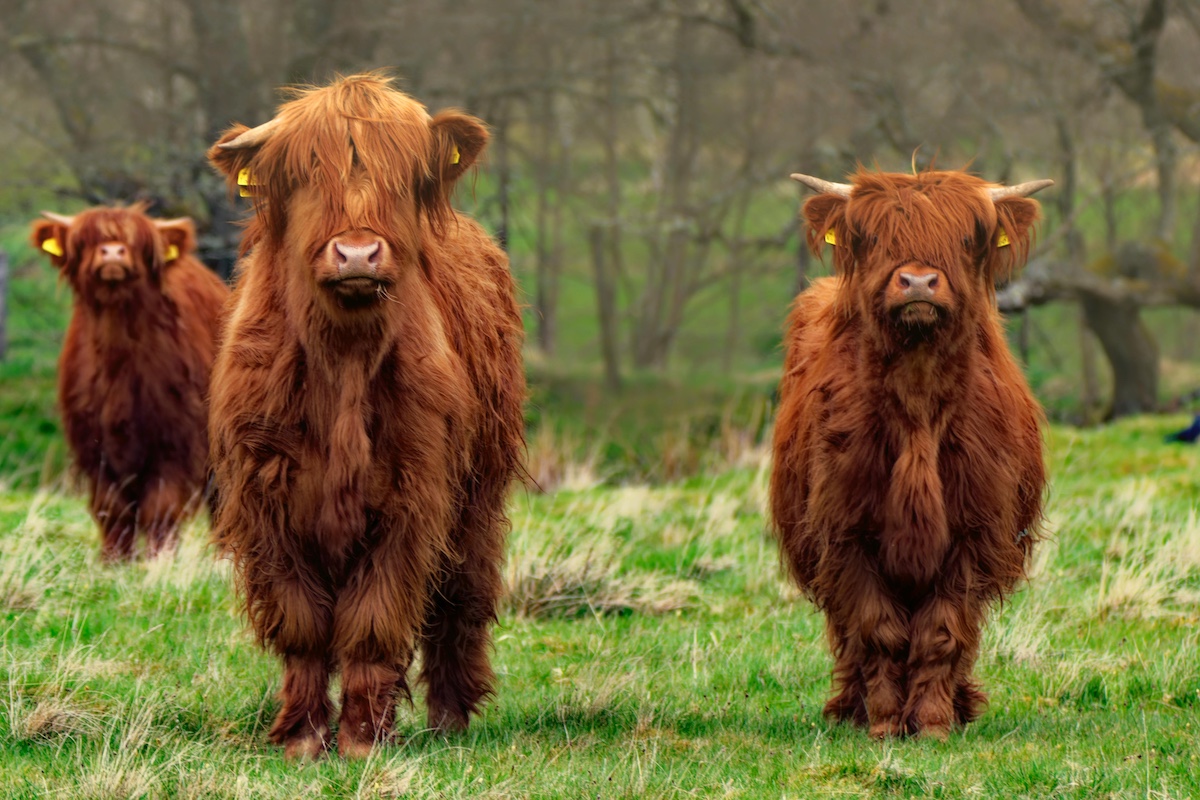 The Silent Siege on UK Farmers, The Silent Siege on UK Farmers, Full Body Massage Service